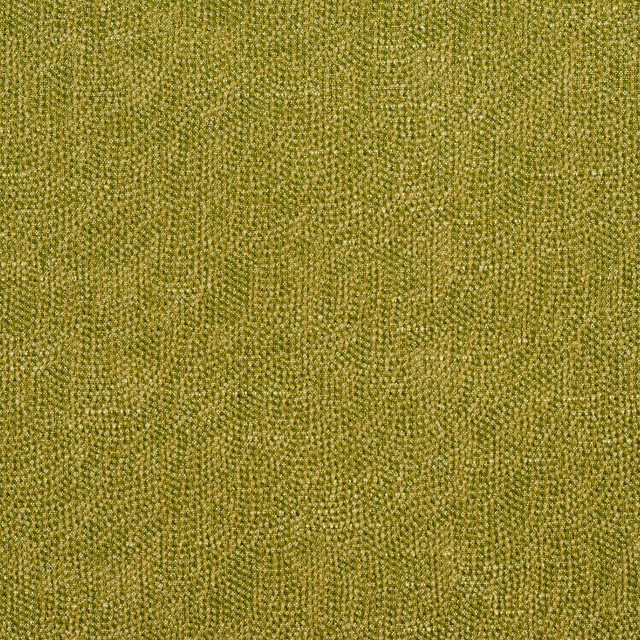 4447 Fern by Charlotte Designer Fabric Multipurpose Jacquards 59% Cotton, 41% Polyester Taiwan Exceeds 200,000 Wyzenbeek Rubs (Heavy Duty) No Repeat 54 Inches - Swanky Fabrics -