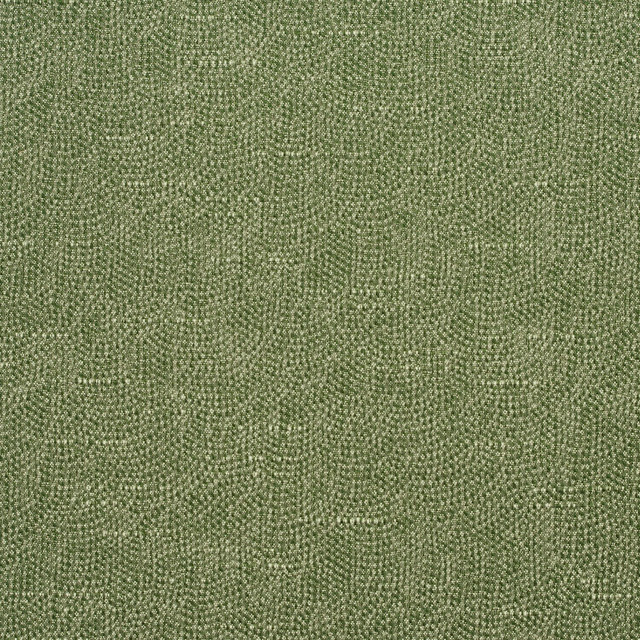 4453 Basil by Charlotte Designer Fabric Multipurpose Jacquards 59% Cotton, 41% Polyester Taiwan Exceeds 200,000 Wyzenbeek Rubs (Heavy Duty) No Repeat 54 Inches - Swanky Fabrics -