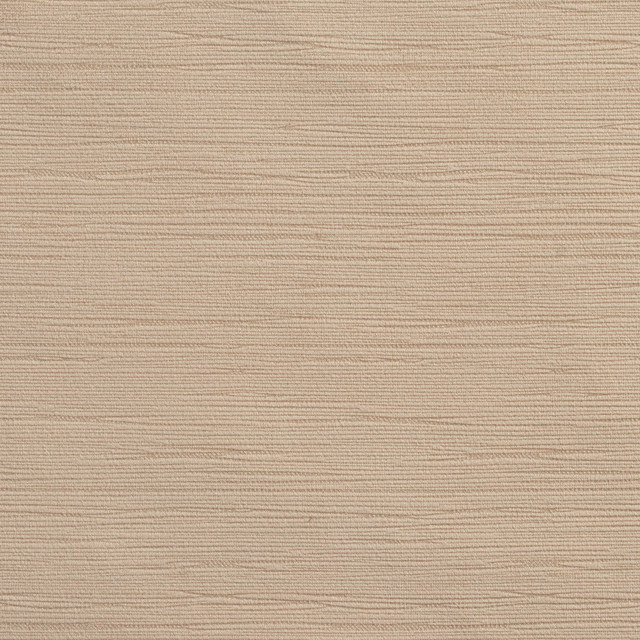 2182 Sand by Charlotte Designer Fabric Tapestry Classics 100% Woven Polyester Velvet Asia Exceeds 192,000 Wyzenbeek Rubs (Heavy Duty) No Repeat 54 Inches - Swanky Fabrics -