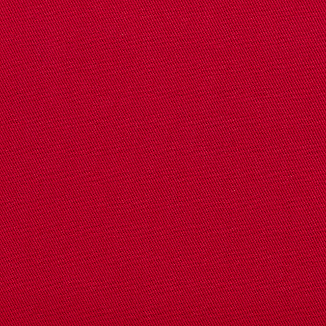 2267 Blossom by Charlotte Designer Fabric Cotton Twill 11oz. 100% Woven Cotton Brazil Exceeds 36,000 Wyzenbeek Rubs (Heavy Duty) No Repeat 58 Inches - Swanky Fabrics -
