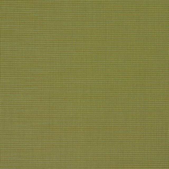 S134 Spring by Charlotte Designer Fabric Outdoor Sling 100% Coated Polyester Made In USA Exceeds 100,000 Wyzenbeek Rubs (Heavy Duty) No Repeat 54 Inches - Swanky Fabrics -