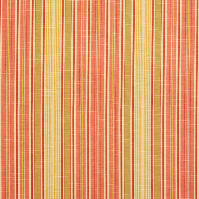 10900-02 by Charlotte Designer Fabric Botanical Prints 60% Cotton, 40% Polyester Spain Exceeds 80,000 Wyzenbeek Rubs (Heavy Duty) Horizontal: 9.5" 54 Inches - Swanky Fabrics -