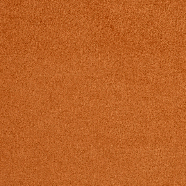 2920 Apricot by Charlotte Designer Fabric Ring Book Page #4A 100% Woven Polyester Asia Exceeds 180,000 Wyzenbeek Rubs (Heavy Duty) No Repeat 54 Inches - Swanky Fabrics -