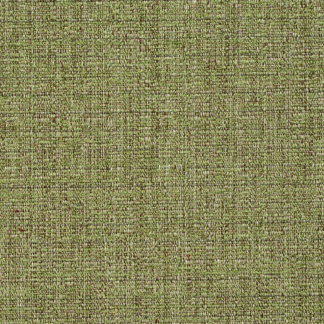 8461 Meadow by Charlotte Designer Fabric Crypton Home 100% Woven Polyester Asia Exceeds 100,000 Wyzenbeek Rubs (Heavy Duty) No Repeat 54 Inches - Swanky Fabrics -