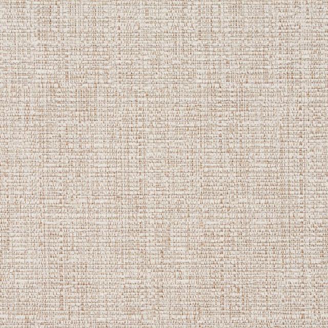8464 Alabaster by Charlotte Designer Fabric Crypton Home 100% Woven Polyester Asia Exceeds 100,000 Wyzenbeek Rubs (Heavy Duty) No Repeat 54 Inches - Swanky Fabrics -