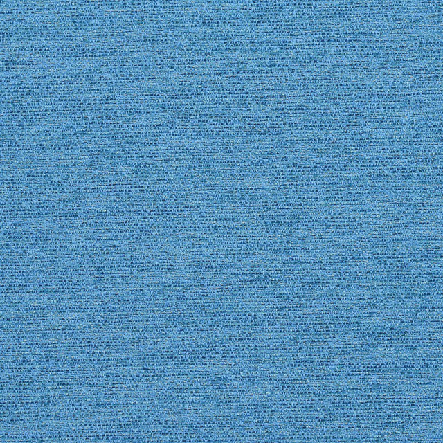 R170 Capri by Charlotte Designer Fabric Ring Book Page #22B 100% Woven Polyester Asia Exceeds 100,000 Wyzenbeek Rubs (Heavy Duty) No Repeat 54 Inches - Swanky Fabrics -