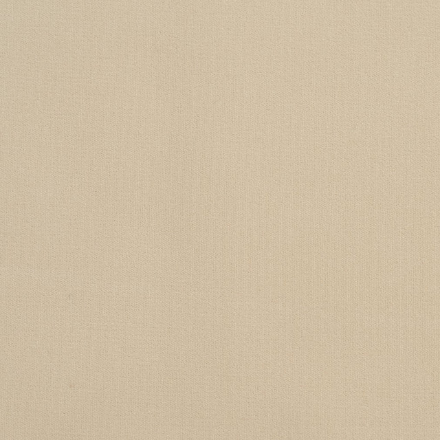 20940-09 by Charlotte Designer Fabric Crypton Woven Velvet 100% Woven Polyester Made In USA Exceeds 200,000 Wyzenbeek Rubs (Heavy Duty) No Repeat 54 Inches - Swanky Fabrics -