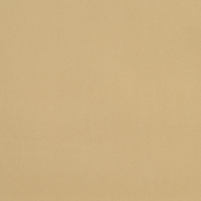 20940-29 by Charlotte Designer Fabric Crypton Woven Velvet 100% Woven Polyester Made In USA Exceeds 200,000 Wyzenbeek Rubs (Heavy Duty) No Repeat 54 Inches - Swanky Fabrics -