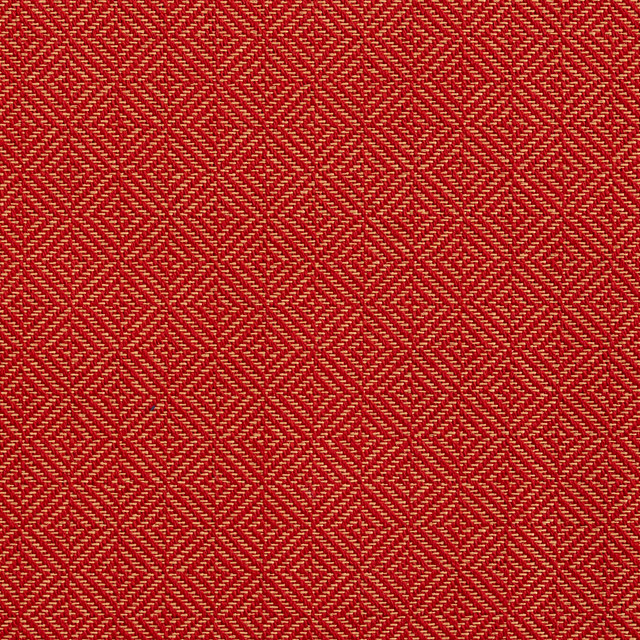D363 Spice by Charlotte Designer Fabric Crypton Volume 2 73% Cotton, 27% Polyester Made In USA Exceeds 126,000 Wyzenbeek Rubs (Heavy Duty) Horizontal: 1" x Vertical: 1" 54 Inches - Swanky Fabrics -