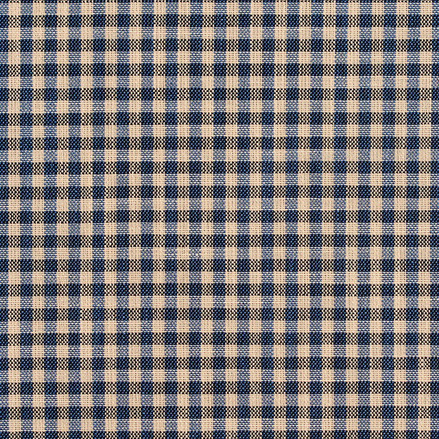 D120 Indigo Gingham by Charlotte Designer Fabric Clubhouse Collection 100% Woven Polyester Asia Exceeds 120,000 Wyzenbeek Rubs (Heavy Duty) Horizontal: .5" x Vertical: .5" 54 Inches - Swanky Fabrics -