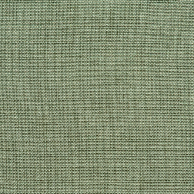 D147 Juniper by Charlotte Designer Fabric Clubhouse Collection 100% Woven Polyester Asia Exceeds 120,000 Wyzenbeek Rubs (Heavy Duty) No Repeat 54 Inches - Swanky Fabrics -
