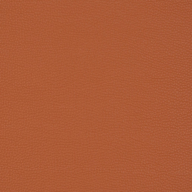 V203 Sienna by Charlotte Designer Fabric UltraHyde III Face: Vinyl/Polyurethane, Back: Polyester Microsuede, 29oz. Asia Exceeds 200,000 Wyzenbeek Rubs (Heavy Duty) No Repeat 54 Inches - Swanky Fabrics - V203 Sienna by Charlotte Designer Fabric UltraHyde III Face: Vinyl/Polyurethane, Back: Polyester Microsuede, 29oz. Asia Exceeds 200,000 Wyzenbeek Rubs (Heavy Duty) No Repeat 54 Inches - Swanky Fabrics -