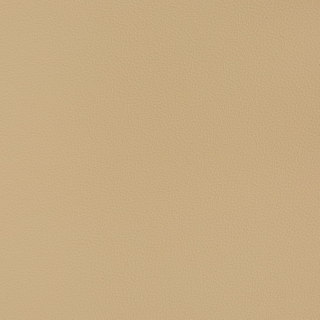 V363 Cashmere by Charlotte Designer Fabric Automotive Vinyl 100% Virgin Vinyl, 30oz. Asia Exceeds 220,000 Wyzenbeek Rubs (Heavy Duty) No Repeat 54 Inches - Swanky Fabrics -