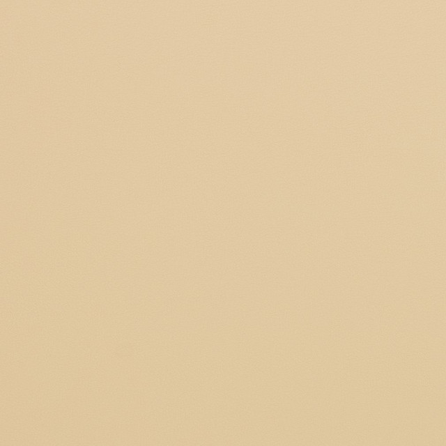 V286 Beach by Charlotte Designer Fabric Contract Vinyl 100% Virgin Vinyl, 34oz. Costa Rica Exceeds 200,000 Wyzenbeek Rubs (Heavy Duty) No Repeat 54 Inches - Swanky Fabrics -