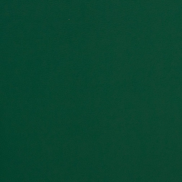 V312 Evergreen by Charlotte Designer Fabric Contract Vinyl 100% Virgin Vinyl, 34oz. Costa Rica Exceeds 200,000 Wyzenbeek Rubs (Heavy Duty) No Repeat 54 Inches - Swanky Fabrics -