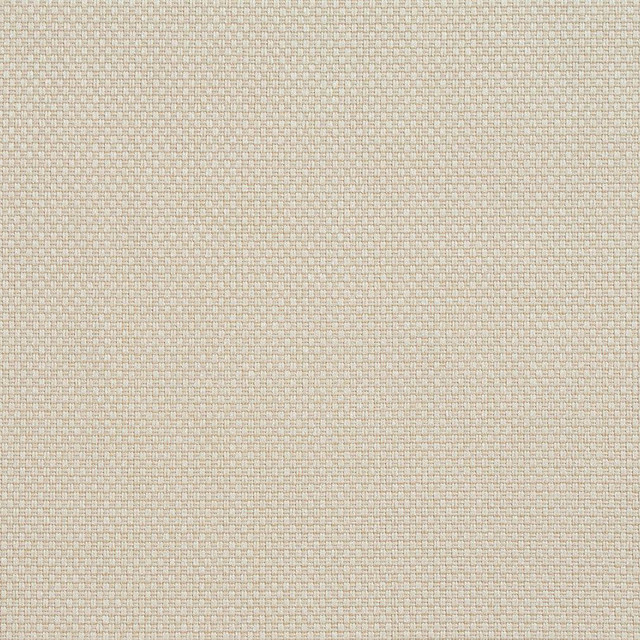 CB700-34 by Charlotte Designer Fabric Ecru 100% Woven Polyester Asia Exceeds 120,000 Wyzenbeek Rubs (Heavy Duty) No Repeat 54 Inches - Swanky Fabrics -