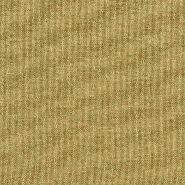 CB600-103 by Charlotte Designer Fabric Shades of Spring 100% Woven Polyester Asia Exceeds 140,000 Wyzenbeek Rubs (Heavy Duty) No Repeat 54 Inches - Swanky Fabrics -