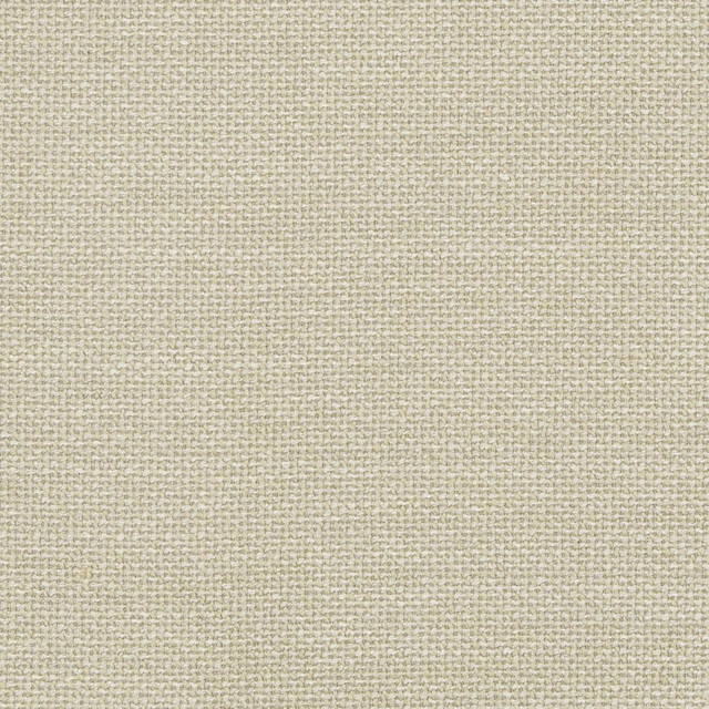 D825 Pumice by Charlotte Designer Fabric Contemporary Wovens II 100% Woven Polyester Asia Exceeds 40,000 Wyzenbeek Rubs (Heavy Duty) No Repeat 54 Inches - Swanky Fabrics - D825 Pumice by Charlotte Designer Fabric Contemporary Wovens II 100% Woven Polyester Asia Exceeds 40,000 Wyzenbeek Rubs (Heavy Duty) No Repeat 54 Inches - Swanky Fabrics -