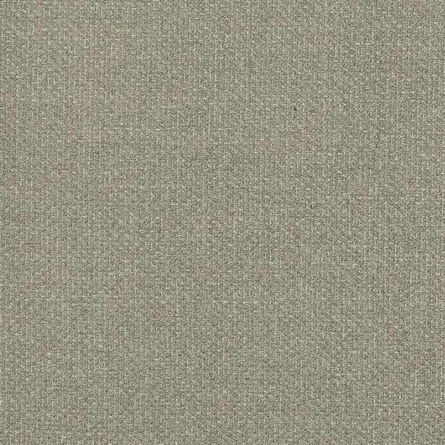 D827 Flannel by Charlotte Designer Fabric Contemporary Wovens II 100% Woven Polyester Asia Exceeds 40,000 Wyzenbeek Rubs (Heavy Duty) No Repeat 54 Inches - Swanky Fabrics -
