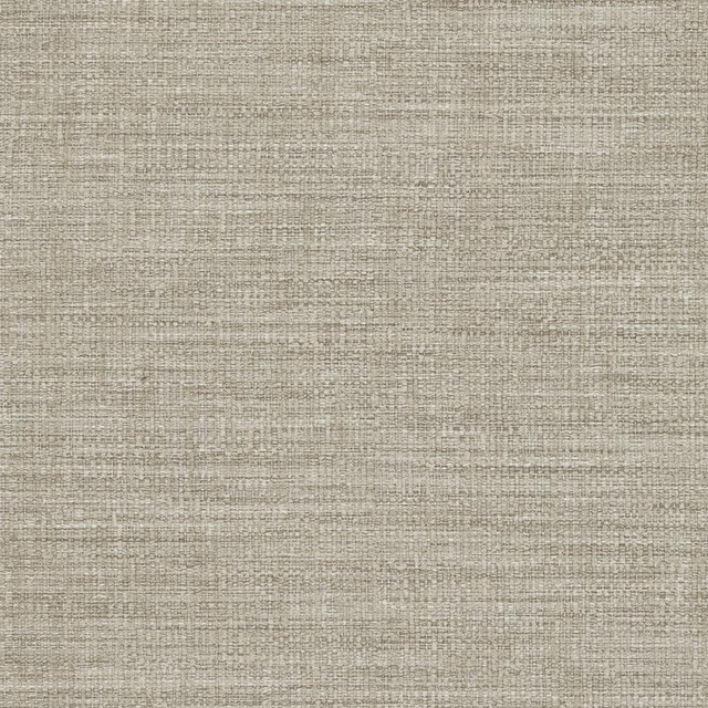 D854 Heather by Charlotte Designer Fabric Contemporary Wovens II 100% Woven Polyester Asia Exceeds 64,000 Wyzenbeek Rubs (Heavy Duty) No Repeat 54 Inches - Swanky Fabrics -