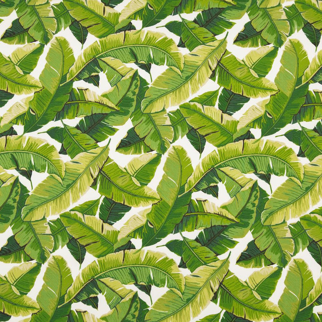 D948 Palm by Charlotte Designer Fabric Prints & Wovens 100% Acrylic Asia Exceeds 30,000 Wyzenbeek Rubs (Heavy Duty) Horizontal 26.5" x Vertical 25" 54 Inches - Swanky Fabrics -