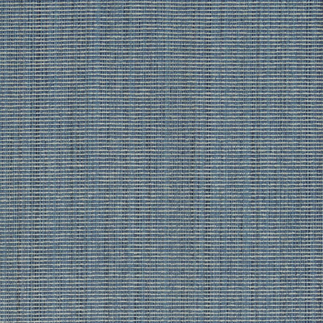 R266 Chambray by Charlotte Designer Fabric Ringbook Page #13b 51% Cotton, 30% Polyester, 19% Rayon Asia Exceeds 120,000 Wyzenbeek Rubs (Heavy Duty) No Repeat 54 Inches - Swanky Fabrics - R266 Chambray by Charlotte Designer Fabric Ringbook Page #13b 51% Cotton, 30% Polyester, 19% Rayon Asia Exceeds 120,000 Wyzenbeek Rubs (Heavy Duty) No Repeat 54 Inches - Swanky Fabrics -