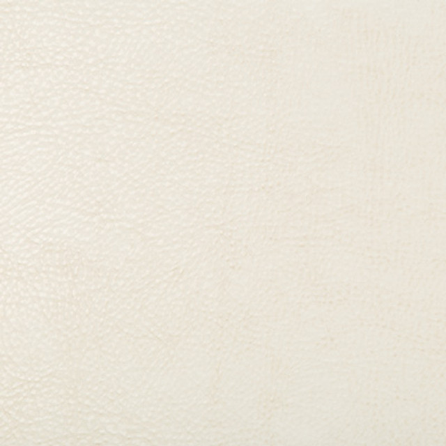 Kravet Design Beholder-1 by Kravet Design Designer Fabric