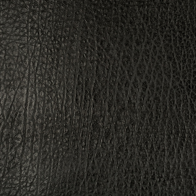 Femme Fatale Black by Groundworks Designer Fabric