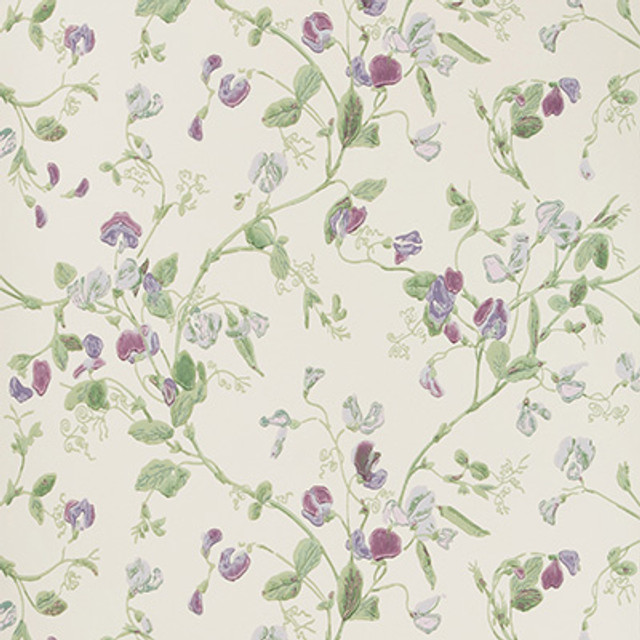 Sweet Pea Violet by Cole & Son Designer Wallcovering