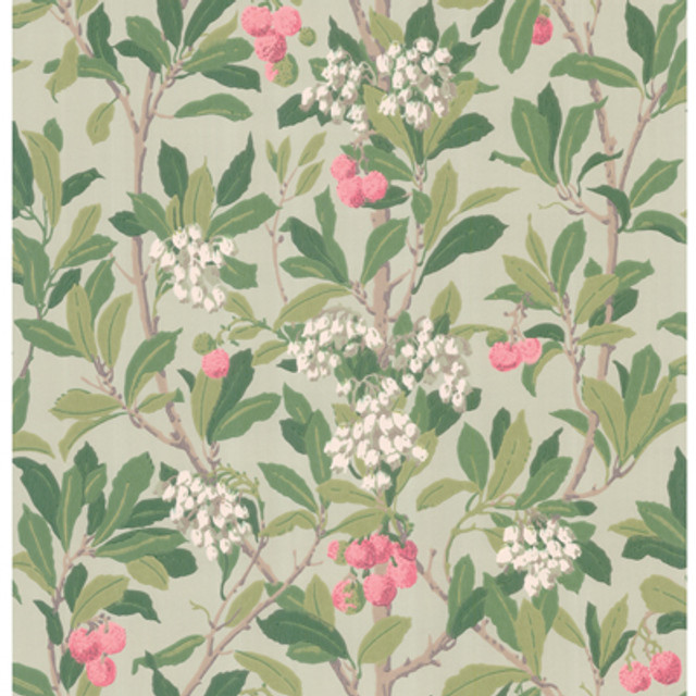 Strawberry Tree Pink & Duck Egg by Cole & Son Designer Wallcovering