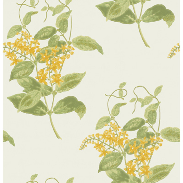 Madras Violet Yellow by Cole & Son Designer Wallcovering
