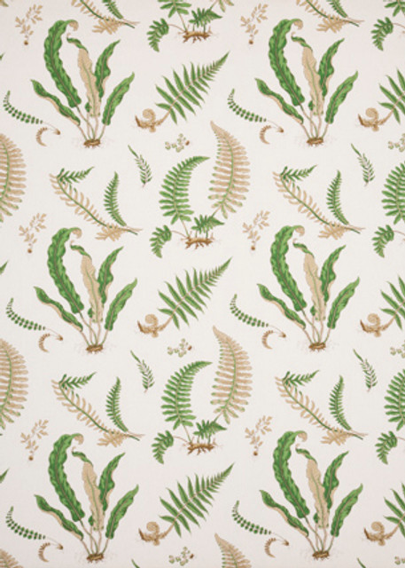 Ferns - Linen Stone/Green by G P & J Baker Designer Fabric