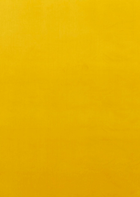 Montpellier Velvet Ochre by Baker Lifestyle Designer Fabric