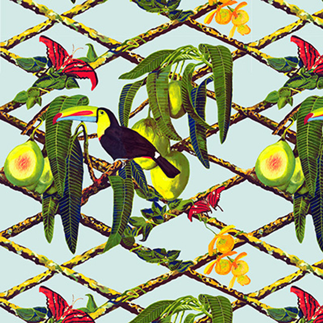 Tucan Original by Gaston Y Daniela Designer Wallcovering