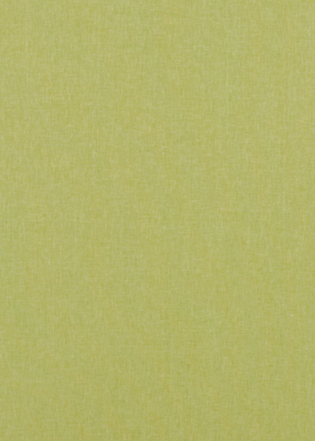 Carnival Plain Lime by Baker Lifestyle Designer Fabric