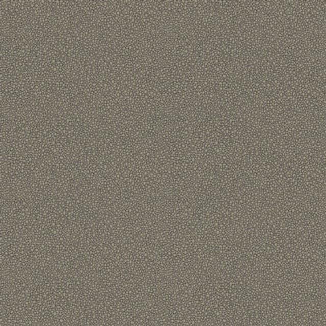 Goldstone Black & Silver by Cole & Son Designer Wallcovering