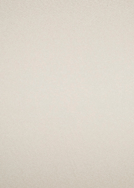 Varas Ivory by Threads Designer Fabric