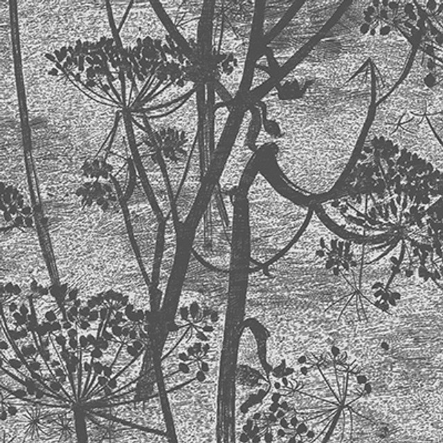 Cow Parsley Charcoal by Cole & Son Designer Wallcovering