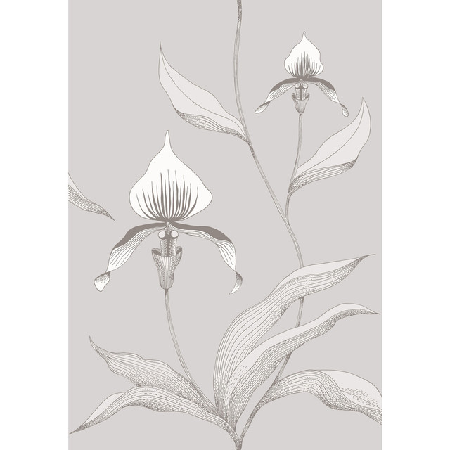 Orchid Grey/White by Cole & Son Designer Wallcovering CONTEMPORARY RESTYLED PAPER - 100% United Kingdom - Horizontal: 21 and Vertical: 30 21 - Swanky Fabrics -