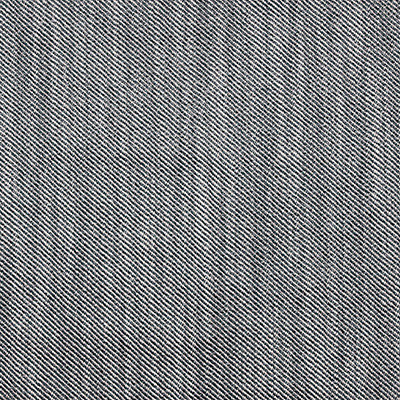 Victoria Plomo/Lino by Gaston Y Daniela Designer Fabric