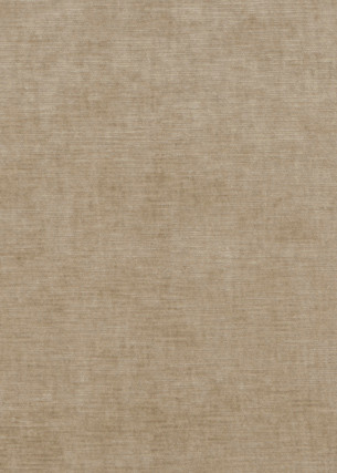 Meridian Velvet Oatmeal by Threads Designer Fabric
