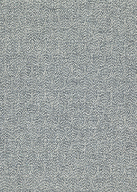 Capo Indigo by Threads Designer Fabric