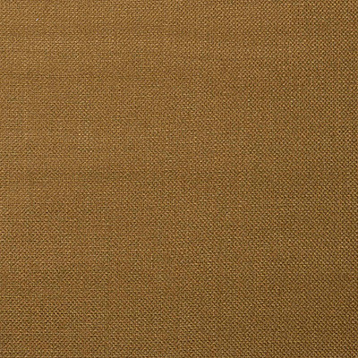 Shaba Oro by Gaston Y Daniela Designer Fabric