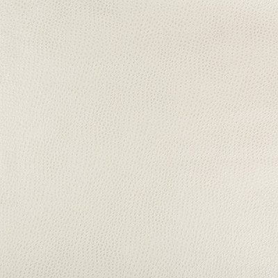 Kravet Design Hubble-111 by Kravet Design Designer Fabric