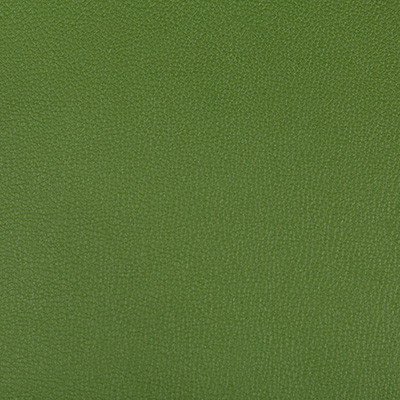 Syrus Bonsai by Kravet Contract Designer Fabric