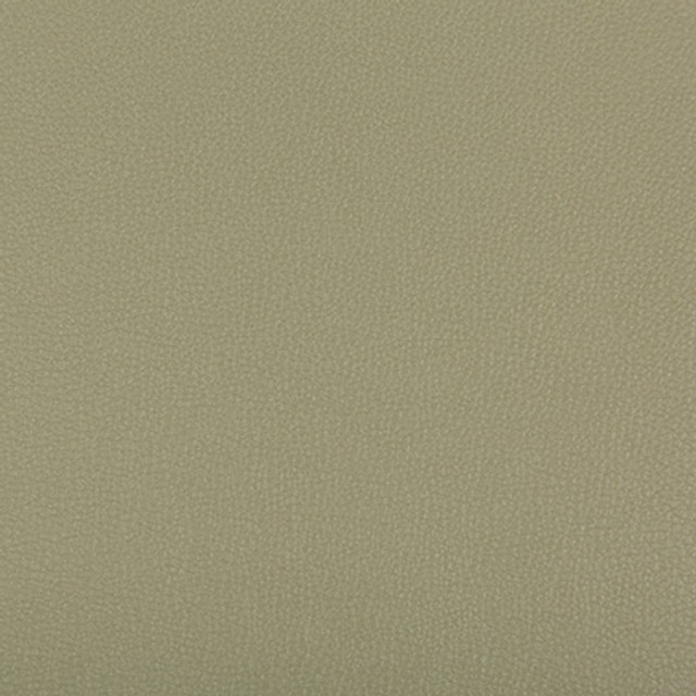 Syrus Sage by Kravet Contract Designer Fabric