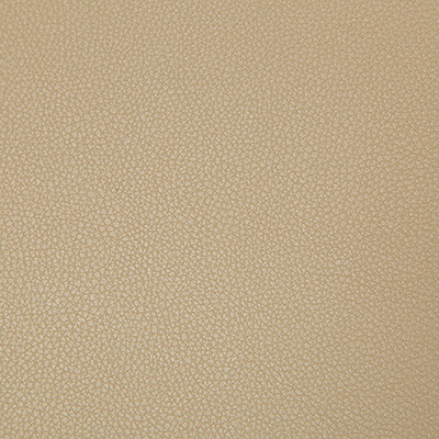 Syrus Quicksand by Kravet Contract Designer Fabric