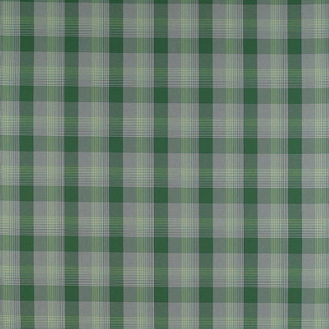 Preciados Verde by Gaston Y Daniela Designer Fabric