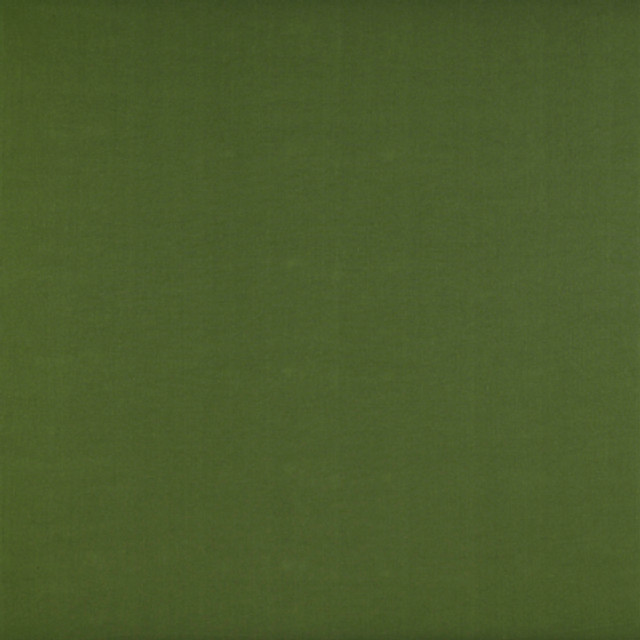 Recoletos Verde by Gaston Y Daniela Designer Fabric