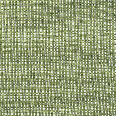 Out Verde by Gaston Y Daniela Designer Fabric